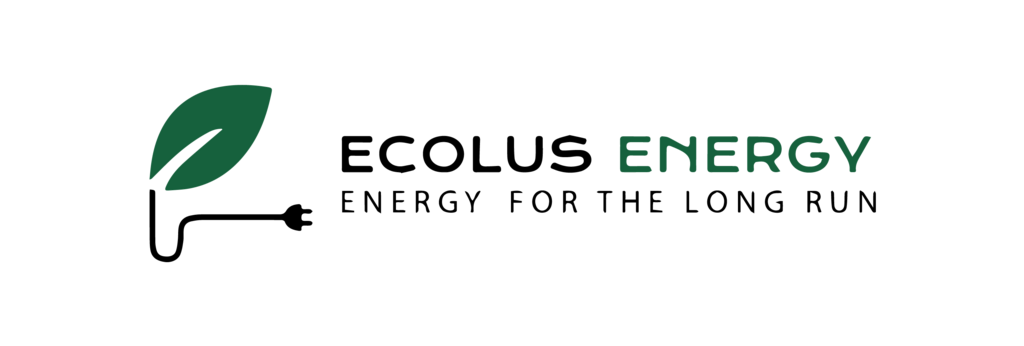 ecolusgroup.co.zw